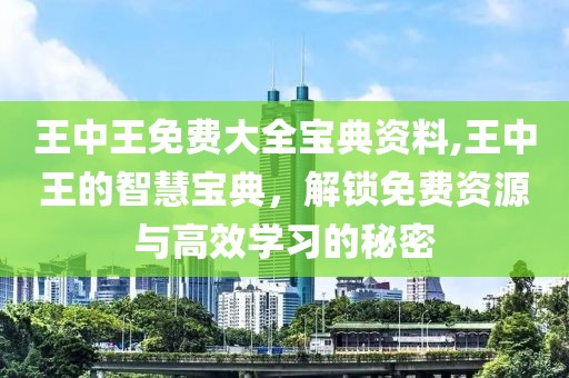 王中王免费大全宝典资料,王中王的智慧宝典，解锁免费资源与高效学习的秘密