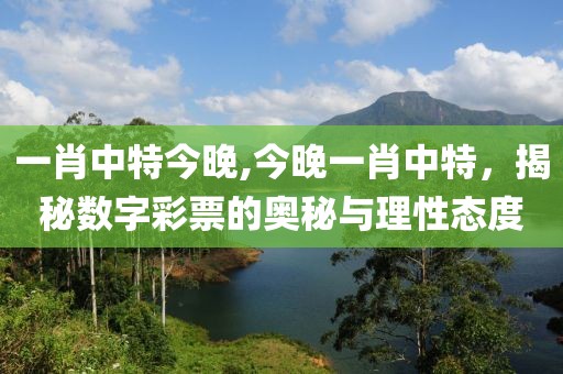 一肖中特今晚,今晚一肖中特，揭秘数字彩票的奥秘与理性态度