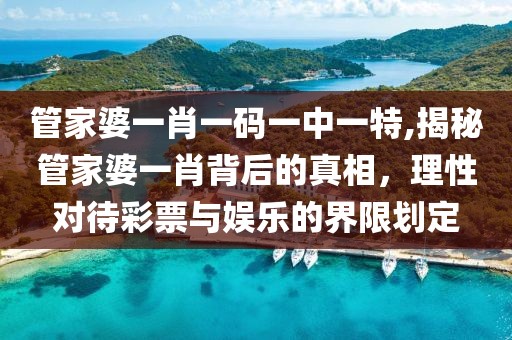 管家婆一肖一码一中一特,揭秘管家婆一肖背后的真相，理性对待彩票与娱乐的界限划定