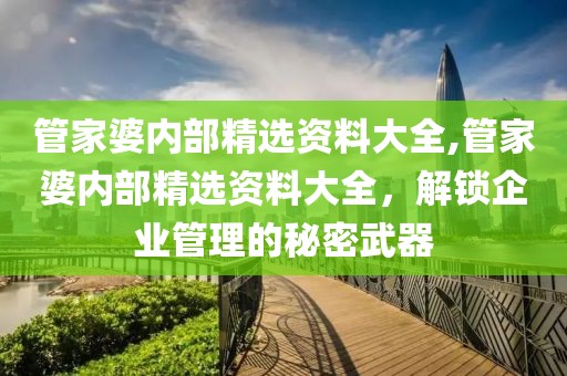 管家婆内部精选资料大全,管家婆内部精选资料大全，解锁企业管理的秘密武器
