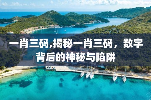 一肖三码,揭秘一肖三码，数字背后的神秘与陷阱