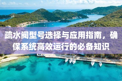 疏水阀型号选择与应用指南，确保系统高效运行的必备知识