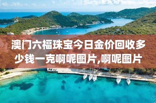 澳门六福珠宝今日金价回收多少钱一克啊呢图片,啊呢图片