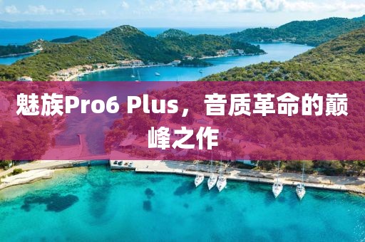 魅族Pro6 Plus