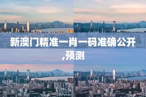 新澳门精准一肖一码准确公开,预测