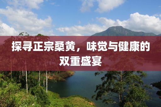 探寻正宗桑黄，味觉与健康的双重盛宴