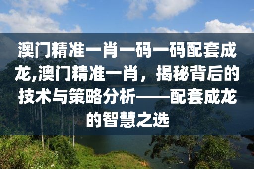 澳门精准一肖一码一码配套成龙,澳门精准一肖，揭秘背后的技术与策略分析——配套成龙的智慧之选
