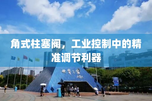 角式柱塞阀，工业控制中的精准调节利器
