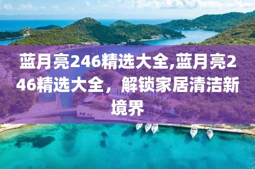 蓝月亮246精选大全,蓝月亮246精选大全，解锁家居清洁新境界