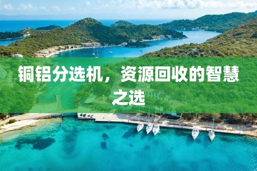 铜铝分选机，资源回收的智慧之选