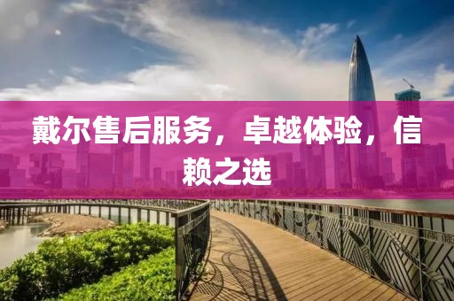 戴尔售后服务，卓越体验，信赖之选