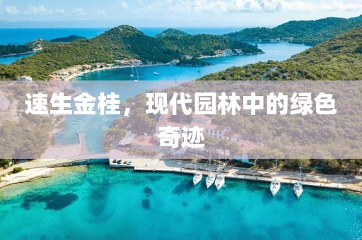现代园林