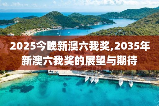 2025今晚新澳六我奖,2035年新澳六我奖的展望与期待