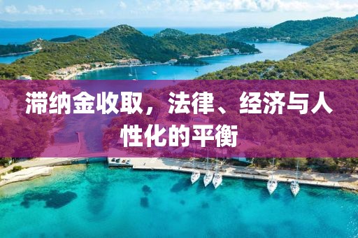 滞纳金收取，法律、经济与人性化的平衡
