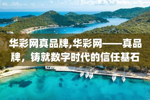华彩网真品牌,华彩网——真品牌，铸就数字时代的信任基石