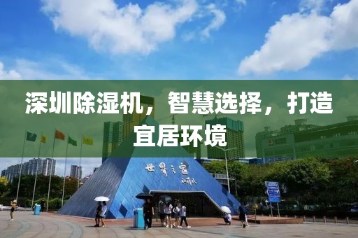 深圳除湿机，智慧选择，打造宜居环境