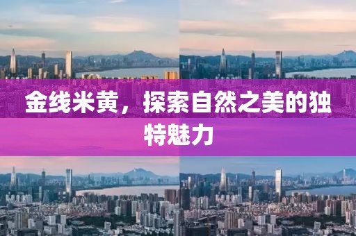金线米黄，探索自然之美的独特魅力