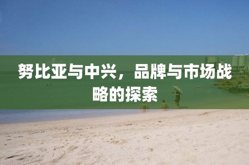 努比亚与中兴，品牌与市场战略的探索
