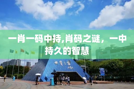 一肖一码中持,肖码之谜，一中持久的智慧