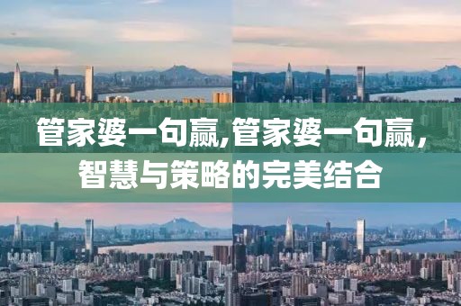 智慧与策略