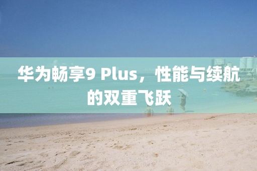 华为畅享9 Plus，性能与续航的双重飞跃