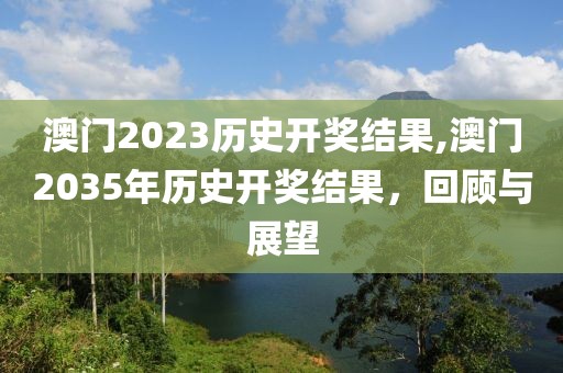 2035年展望 第12页