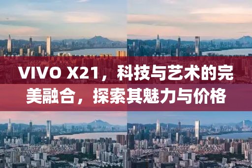 VIVO X21，科技与艺术的完美融合，探索其魅力与价格