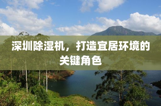 深圳除湿机，打造宜居环境的关键角色