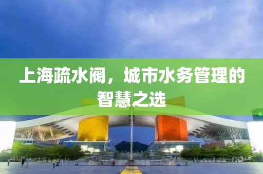 上海疏水阀，城市水务管理的智慧之选