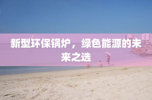 新型环保锅炉，绿色能源的未来之选