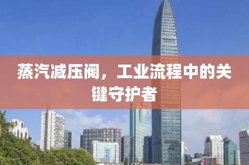 蒸汽减压阀