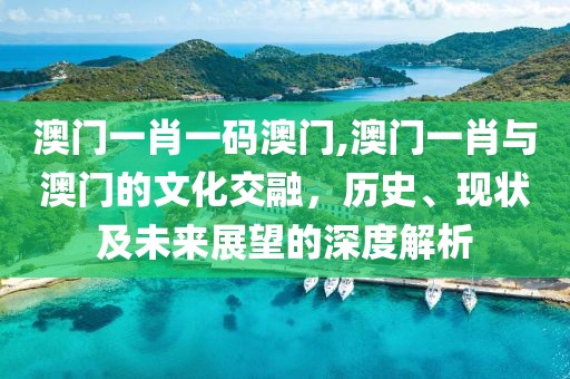 澳门一肖一码澳门,澳门一肖与澳门的文化交融，历史、现状及未来展望的深度解析
