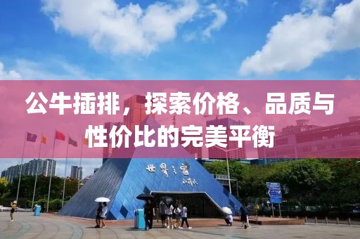 公牛插排，探索价格、品质与性价比的完美平衡