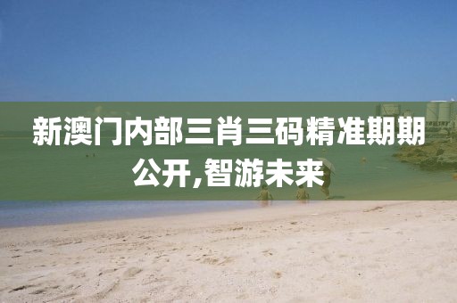 新澳门内部三肖三码精准期期公开,智游未来