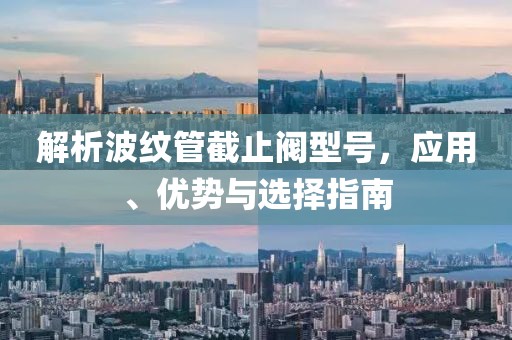 解析波纹管截止阀型号，应用、优势与选择指南