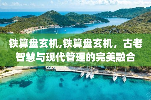 铁算盘玄机,铁算盘玄机，古老智慧与现代管理的完美融合