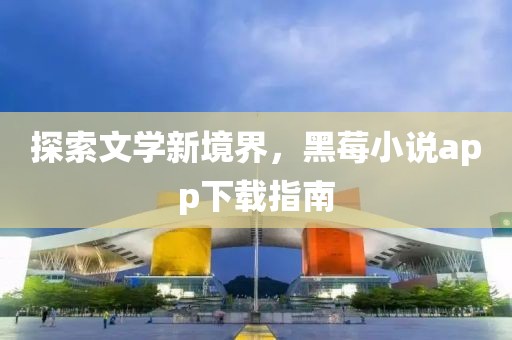 黑莓小说app