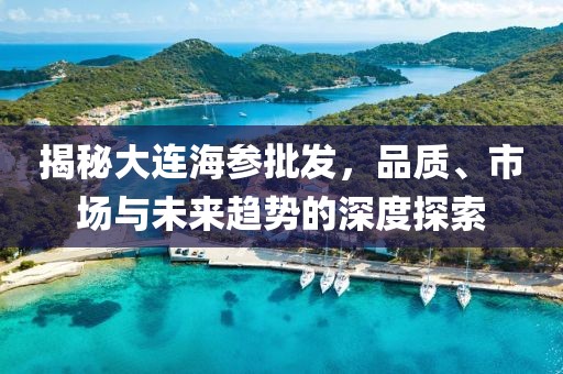揭秘大连海参批发，品质、市场与未来趋势的深度探索