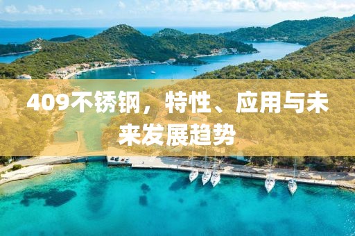 409不锈钢