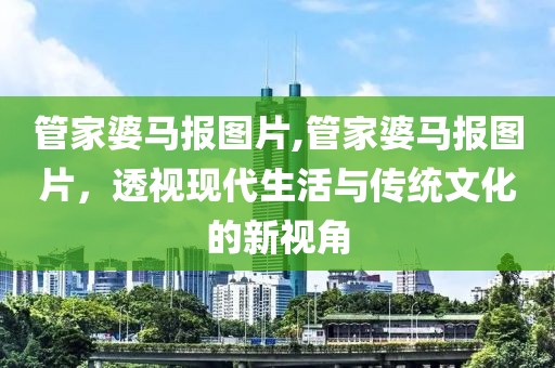 管家婆马报图片,管家婆马报图片，透视现代生活与传统文化的新视角