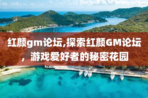 红颜gm论坛,探索红颜GM论坛，游戏爱好者的秘密花园