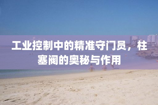 工业控制中的精准守门员，柱塞阀的奥秘与作用