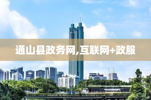 通山县政务网,互联网+政服