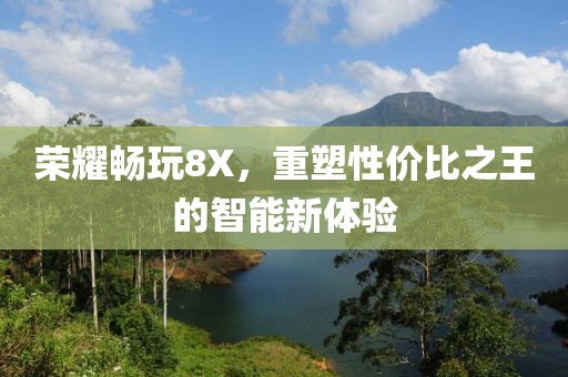 荣耀畅玩8X，重塑性价比之王的智能新体验