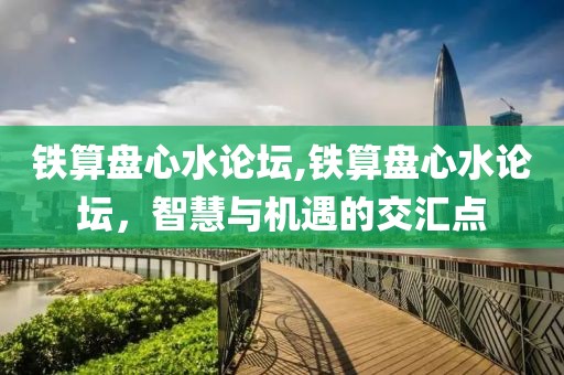 铁算盘心水论坛,铁算盘心水论坛，智慧与机遇的交汇点