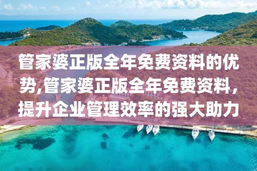 管家婆正版全年免费资料的优势,管家婆正版全年免费资料，提升企业管理效率的强大助力