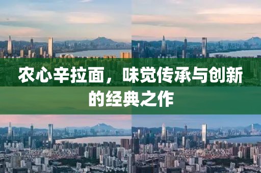 农心辛拉面，味觉传承与创新的经典之作