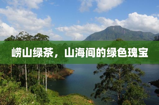崂山绿茶，山海间的绿色瑰宝