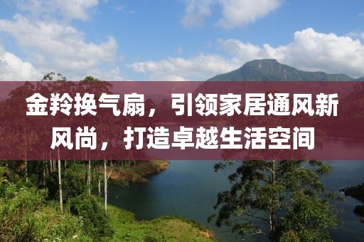 金羚换气扇