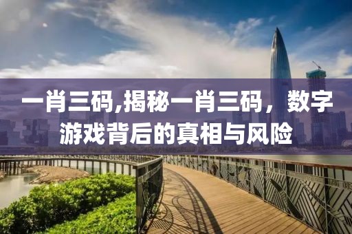一肖三码,揭秘一肖三码，数字游戏背后的真相与风险